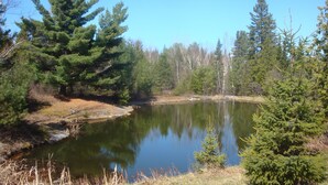 Un lago sereno rodeado de un bosque denso y altos árboles de hoja perenne.