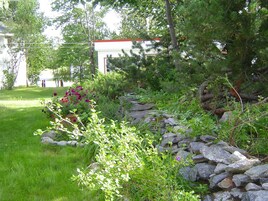 A garden with a stone wall, various plants, and a building in the background.