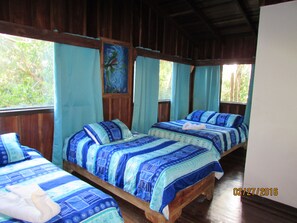 Basic Triple Room, 1 Bedroom, Mountain View, Garden Area | View from room - Hotel Villa Verde (Monteverde)
