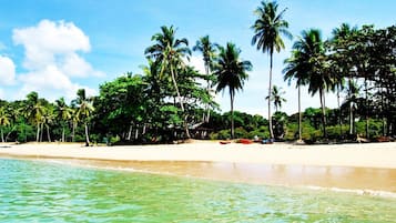 On the beach, beach bar, motor boating, fishing