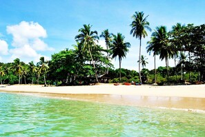 Am Strand, Strandbar, Motorbootfahrt, Angeln