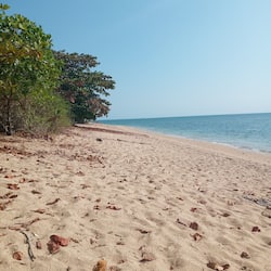 On the beach, beach bar, motor boating, fishing