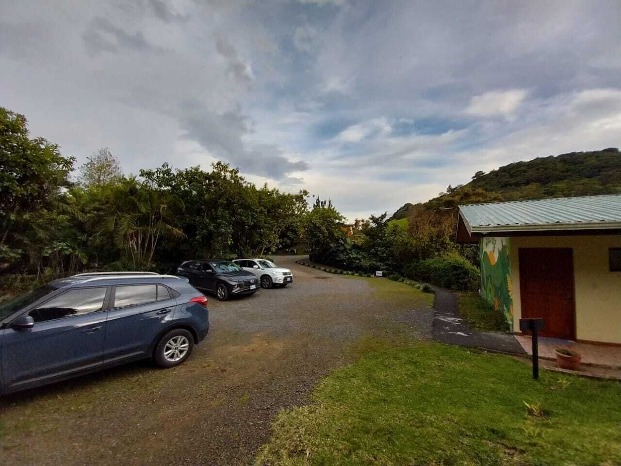 Une allée de gravier mène à un bâtiment doté d’un toit végétalisé, entouré d’une végétation luxuriante et bordé de voitures garées.