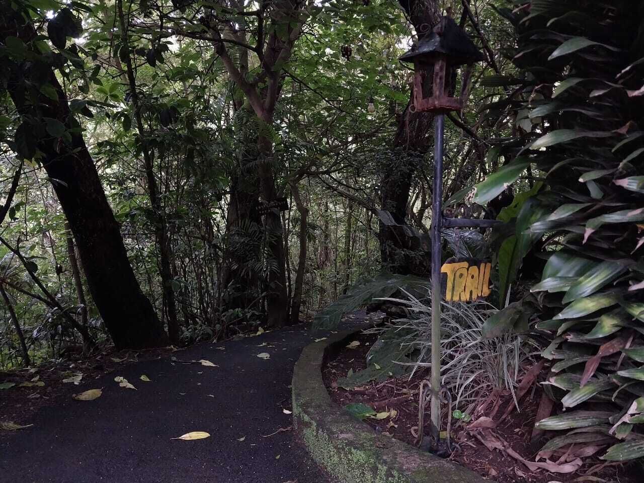 Sendero boscoso con un cartel que indica la dirección.