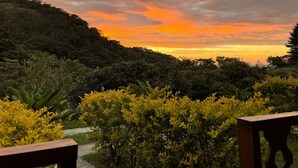 Vista de un jardín con un sendero que lleva a un banco de madera, rodeado de vegetación exuberante y un cielo de atardecer de fondo.