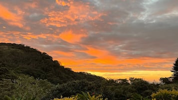 Vistas desde la habitación