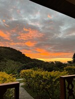 Vista desde la habitación