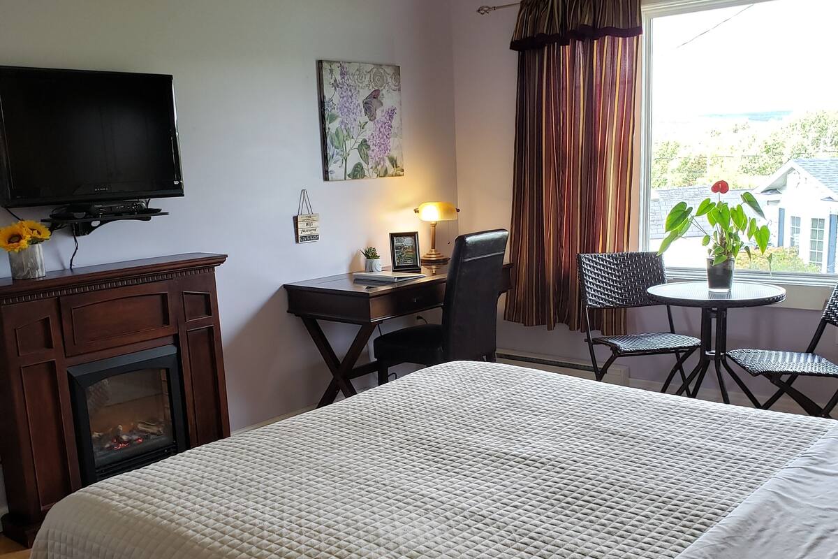A hotel room with a bed, a desk, a chair, a television, a fireplace, a window with curtains, and a plant.