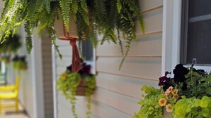 A wooden bench outside a building with hanging planters containing green foliage and flowers. - Antigonish Evergreen Inn (Sylvan Valley)