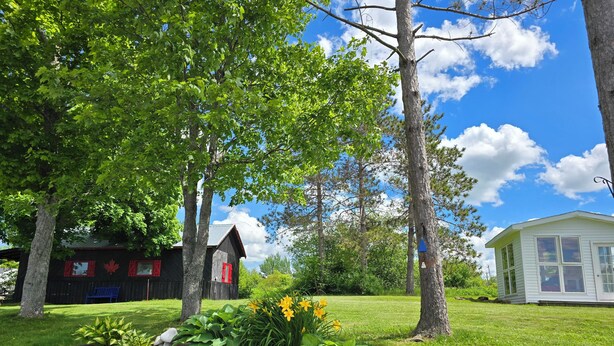 A rustic cabin with a red door and a small shed, surrounded by lush greenery and a clear blue sky. - Antigonish Evergreen Inn (Sylvan Valley)