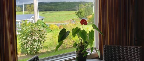 Vista desde la habitación