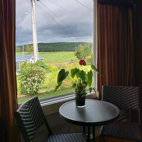 View from room