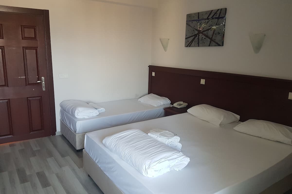 Eenvoudige driepersoonskamer | Een minibar, gratis babybedden, extra bedden, gratis wifi