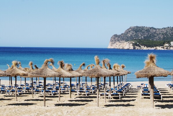 Plage à proximité, sable blanc, chaises longues, parasols