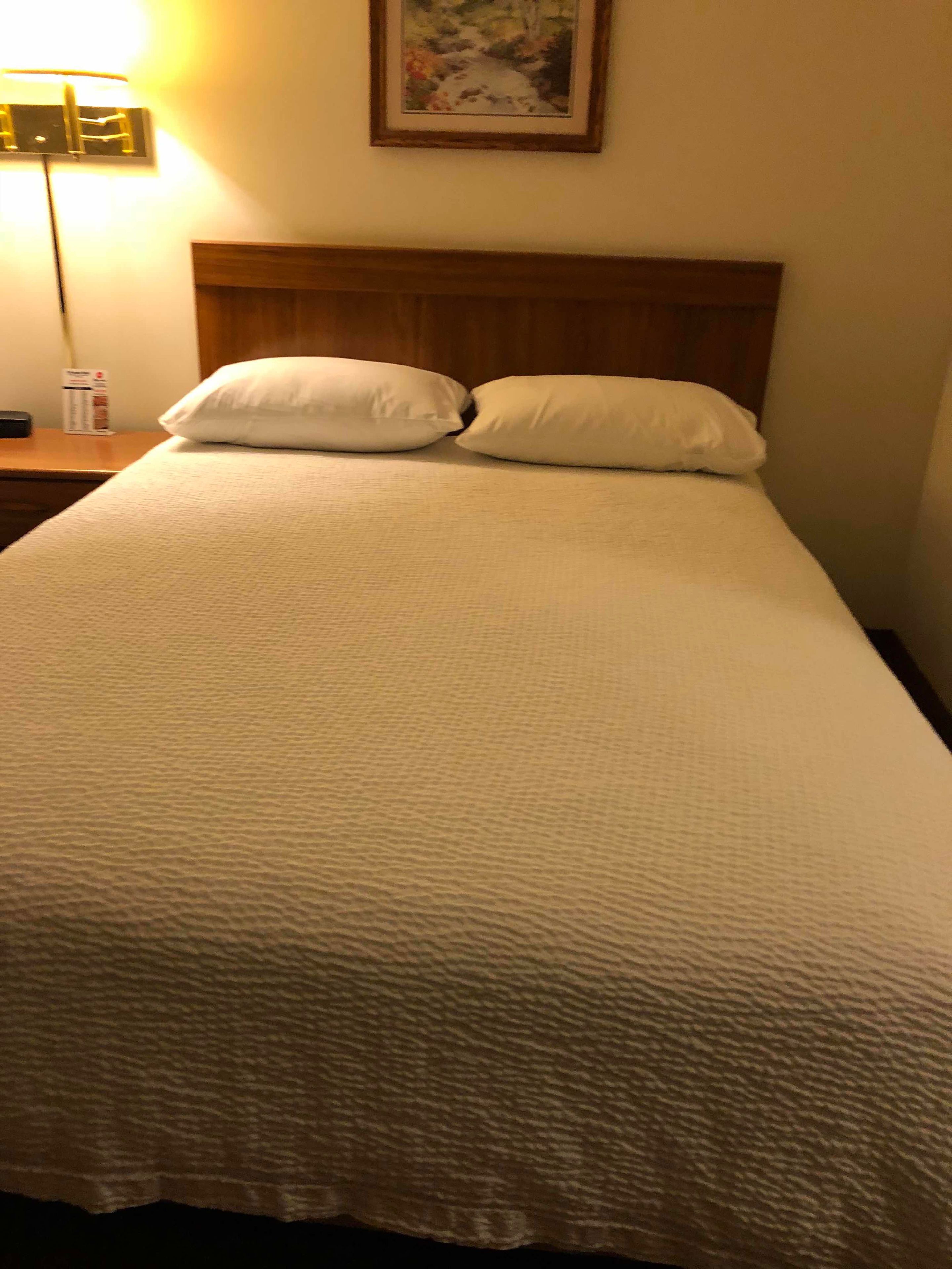 Un lit bien fait, avec une couette blanche et deux oreillers, une tête de lit en bois, une table de chevet avec une lampe et un tableau encadré au mur.
