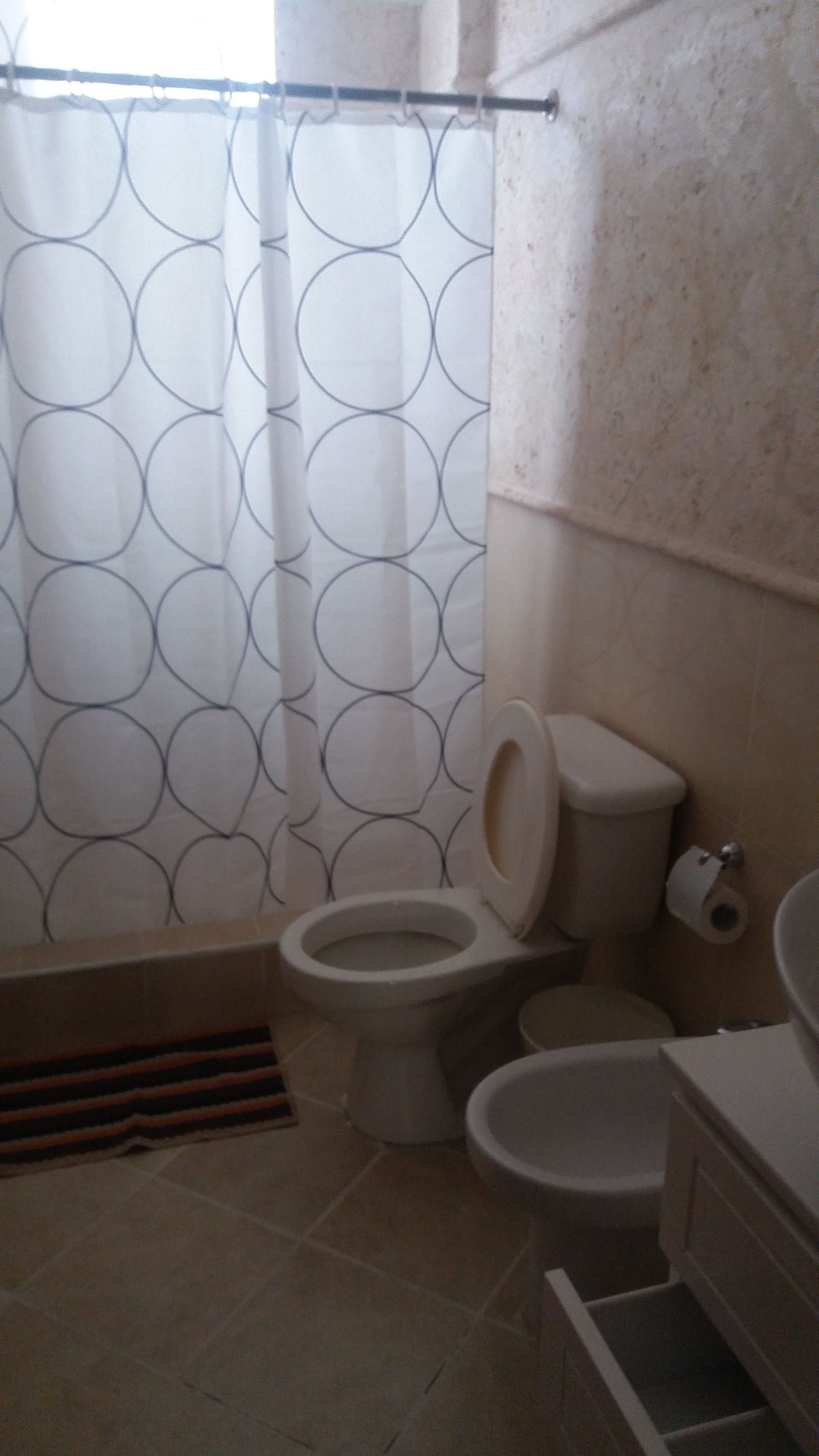 A bathroom with a toilet, bidet, and a shower curtain with a circular pattern.