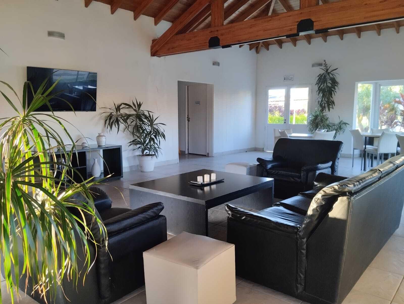 A modern living room with a sofa, coffee table, and potted plants.