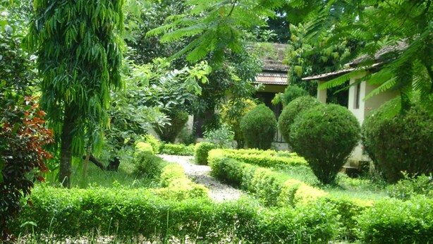 A lush garden with a pathway leading to a traditional building. - Nepal Wildlife Resort (Thakudwara)