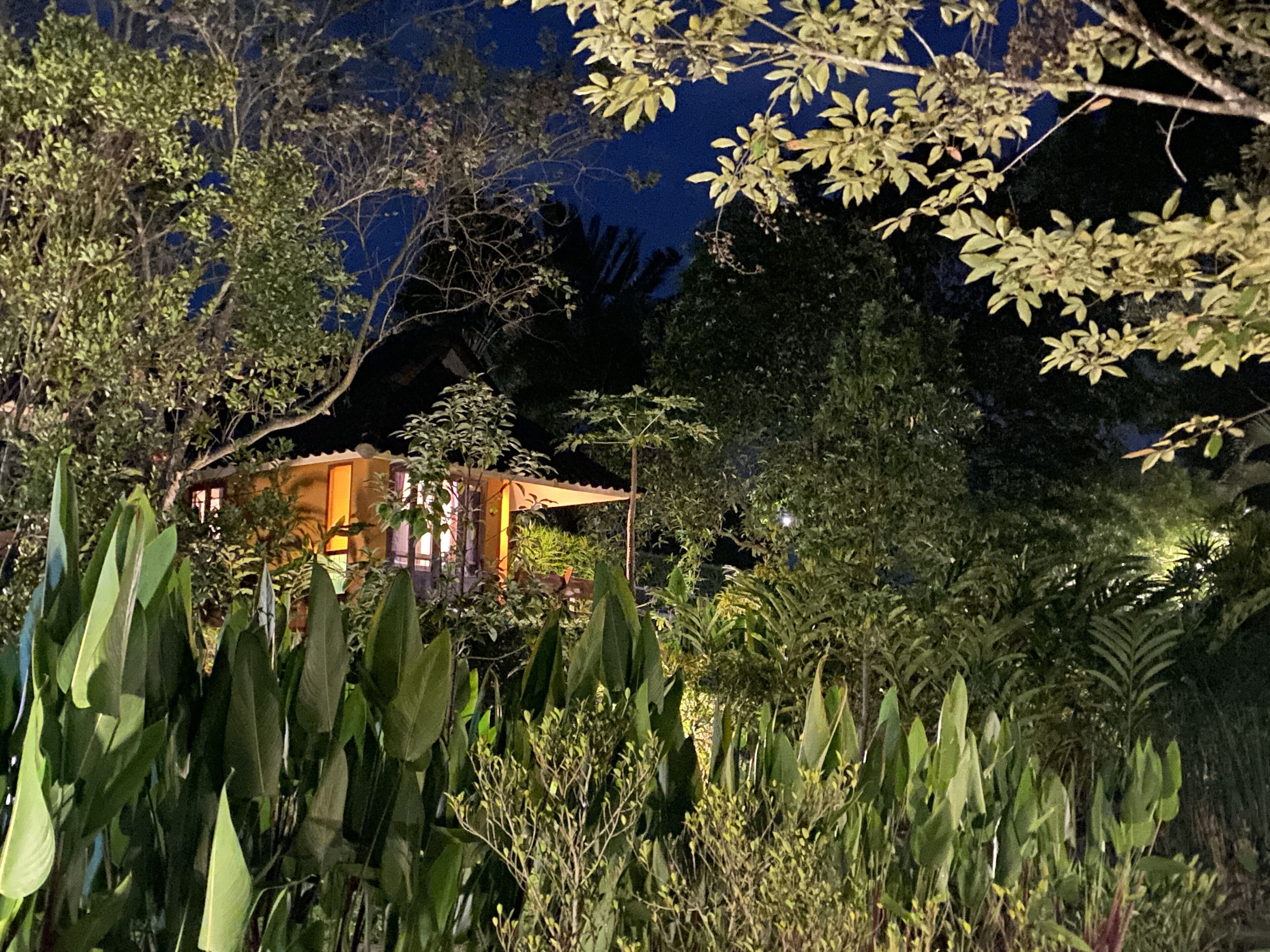 A secluded villa surrounded by dense foliage, with a visible structure featuring a curved roof and a small porch.