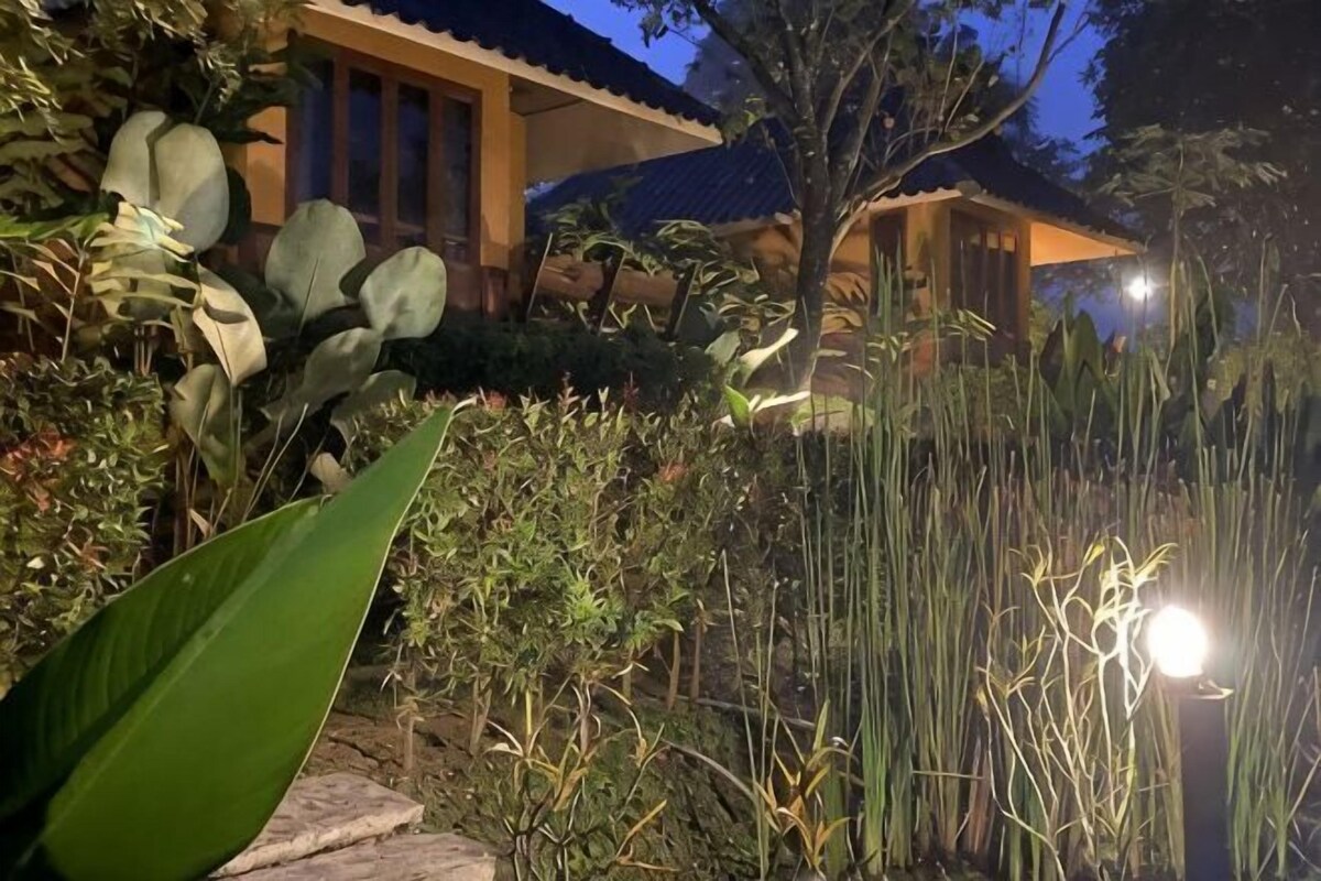 A building with a tiled roof, surrounded by dense vegetation and a well-lit pathway.