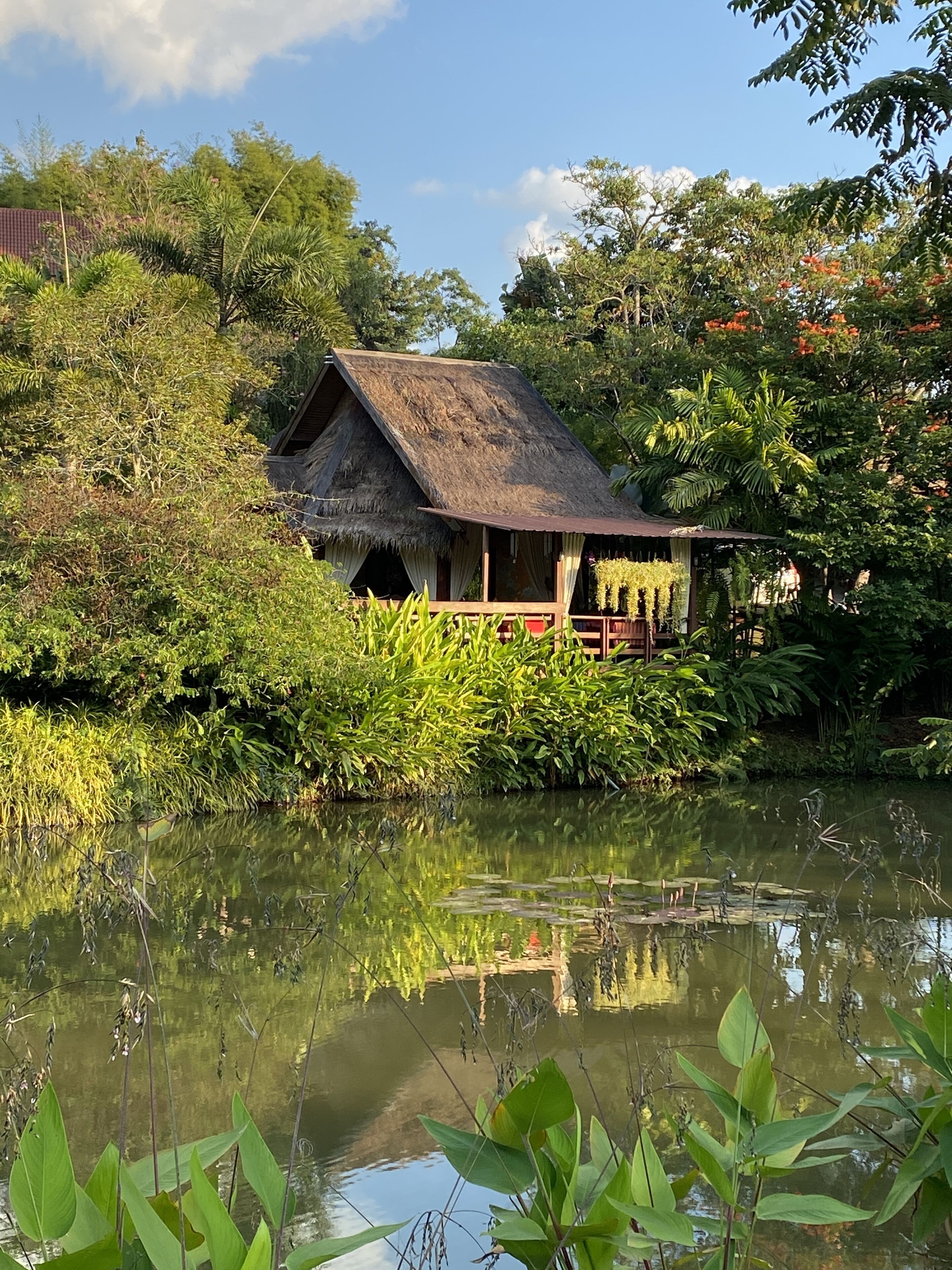 Une cabane rustique au toit de chaume, entourée d’une végétation luxuriante et bordée d’un étang paisible.