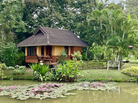 Premium bedding, down comforters, minibar, WiFi