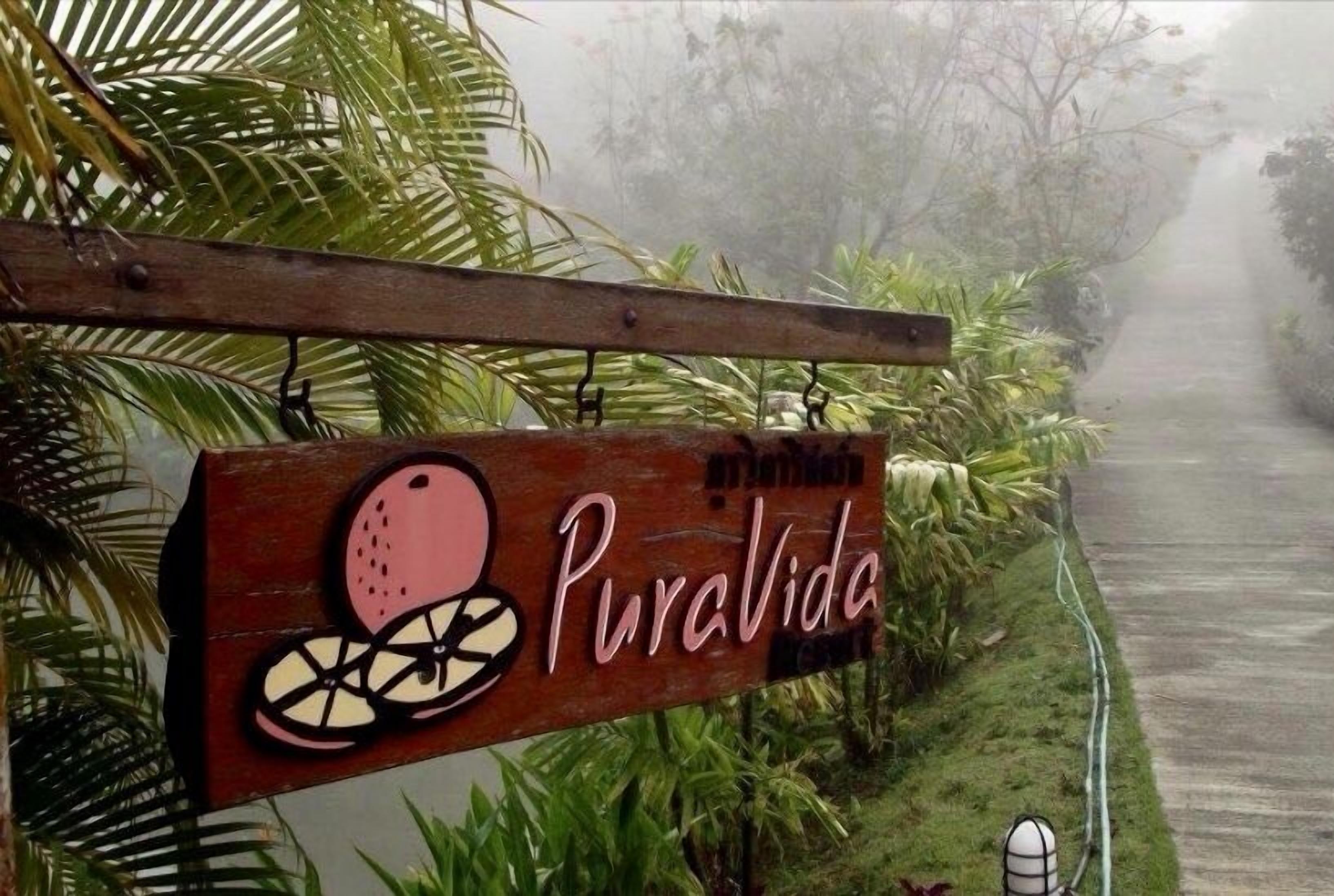 Une enseigne en bois portant le nom « Puralvida » et ornée d’un motif de fruits, le tout entouré d’une végétation luxuriante.