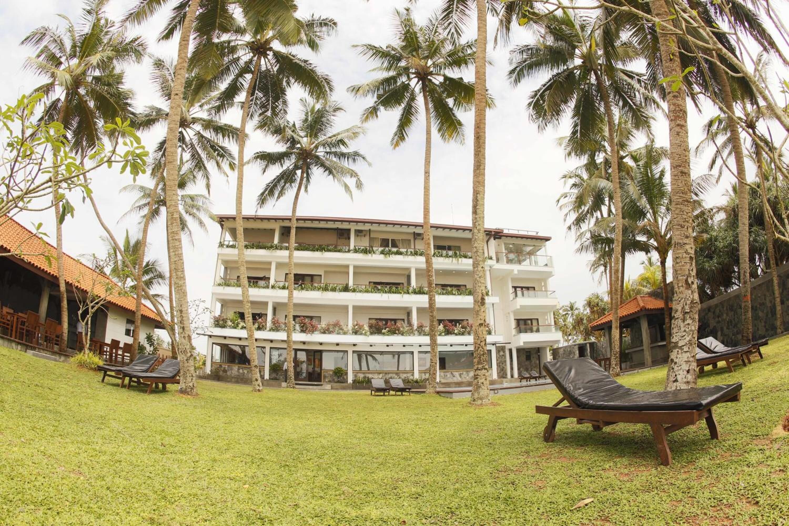 A multi-story hotel with a flat roof, surrounded by palm trees and a grassy lawn with lounge chairs.