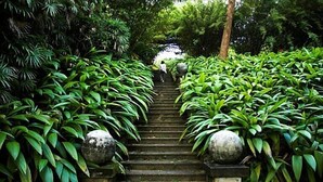 A stone staircase surrounded by lush green foliage. - Blue Beach (Wadduwa)