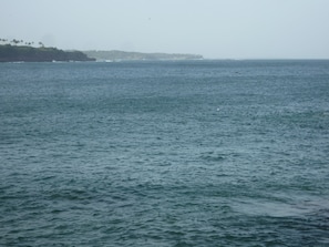 View from property - Blow Hole View Home Stay (Tangalle)