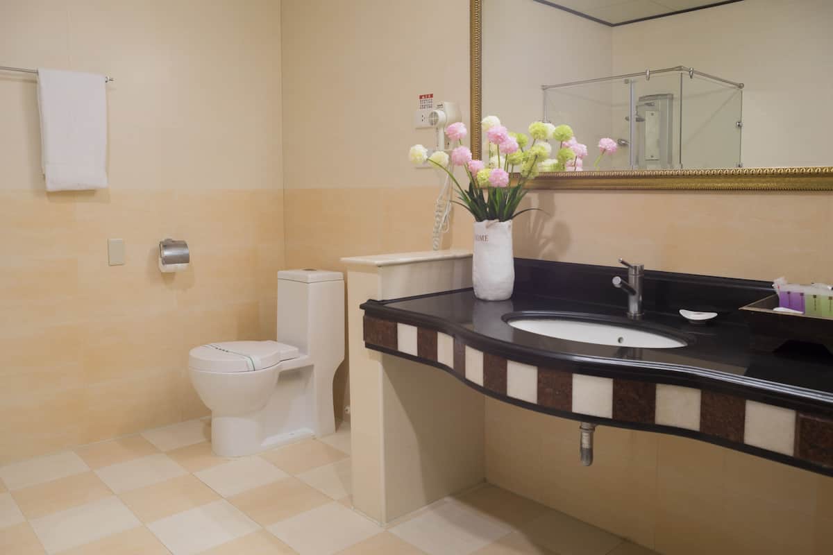 separate bathtub and shower, free toiletries, hair dryer, slippers