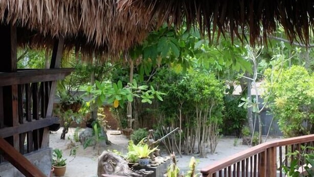 A wooden staircase with a thatched roof overhead, leading to a garden area with various plants and a small pond. - Panji Panji Tropical Wooden Home (Langkawi)