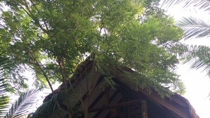 A rustic wooden building with a balcony, surrounded by lush greenery. - Panji Panji Tropical Wooden Home (Langkawi)
