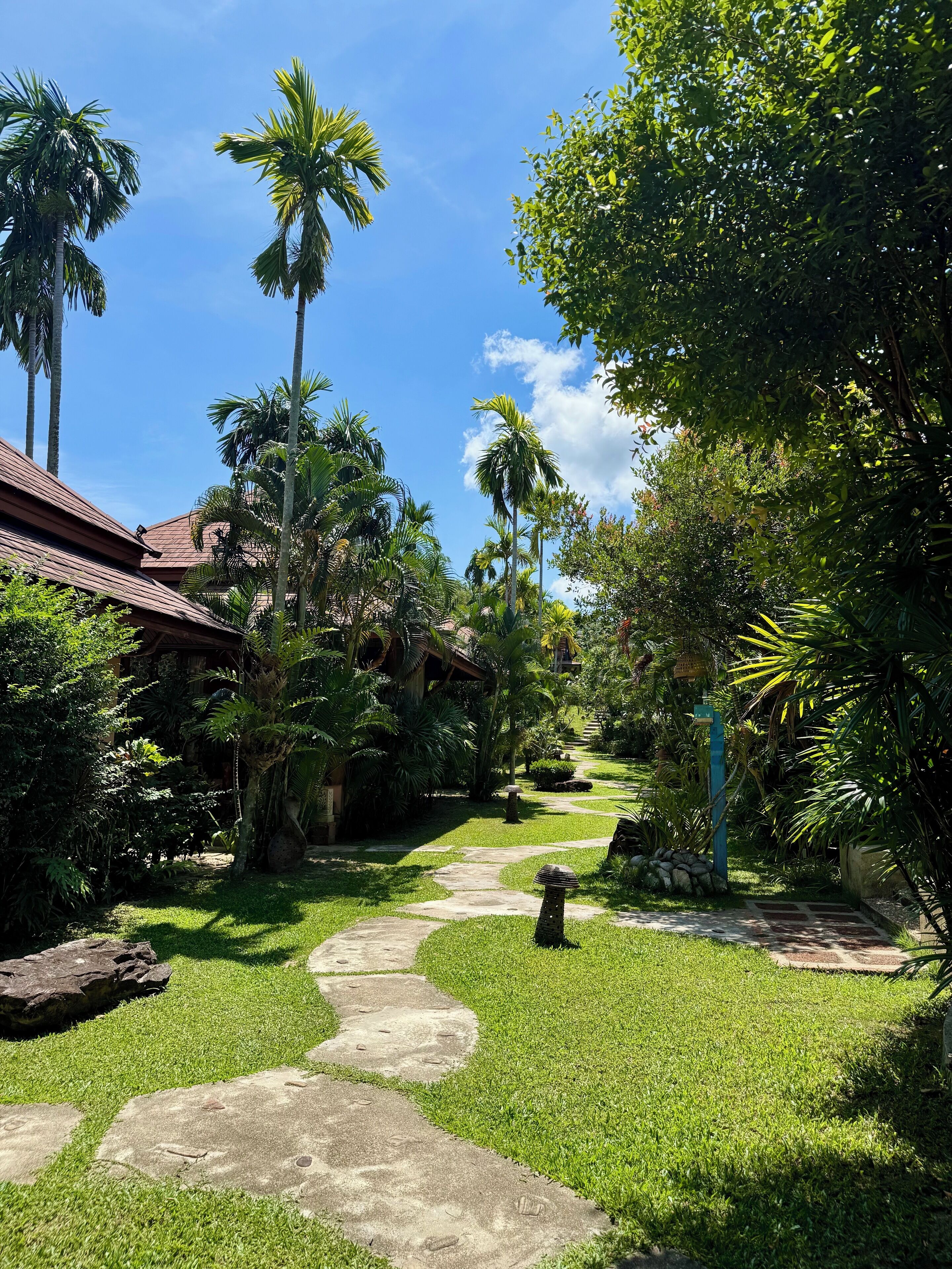 A tropical garden with a stone pathway leading to a building with a red roof.