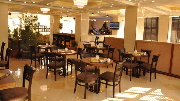 A hotel lobby with multiple round tables and chairs, a large potted plant, and a television mounted on the wall. - Addissinia Hotel (Addis Ababa)