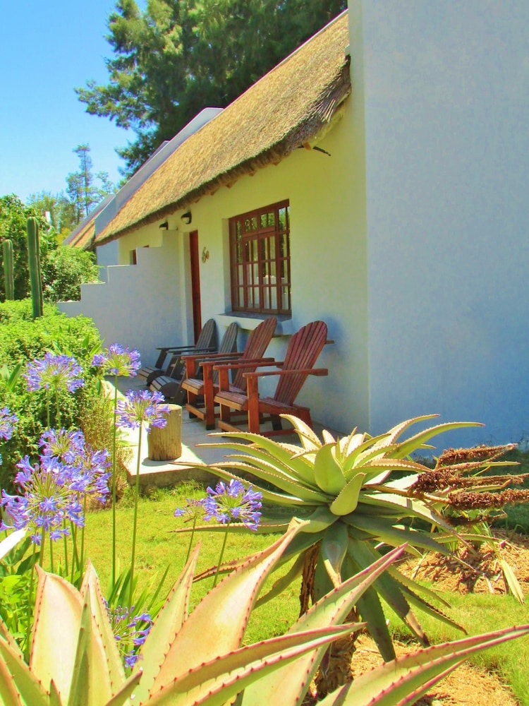 Rosedale Organic Farm & B&B by null