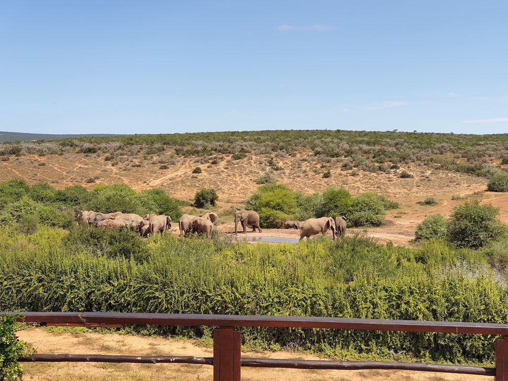 Rosedale Organic Farm & B&B by null