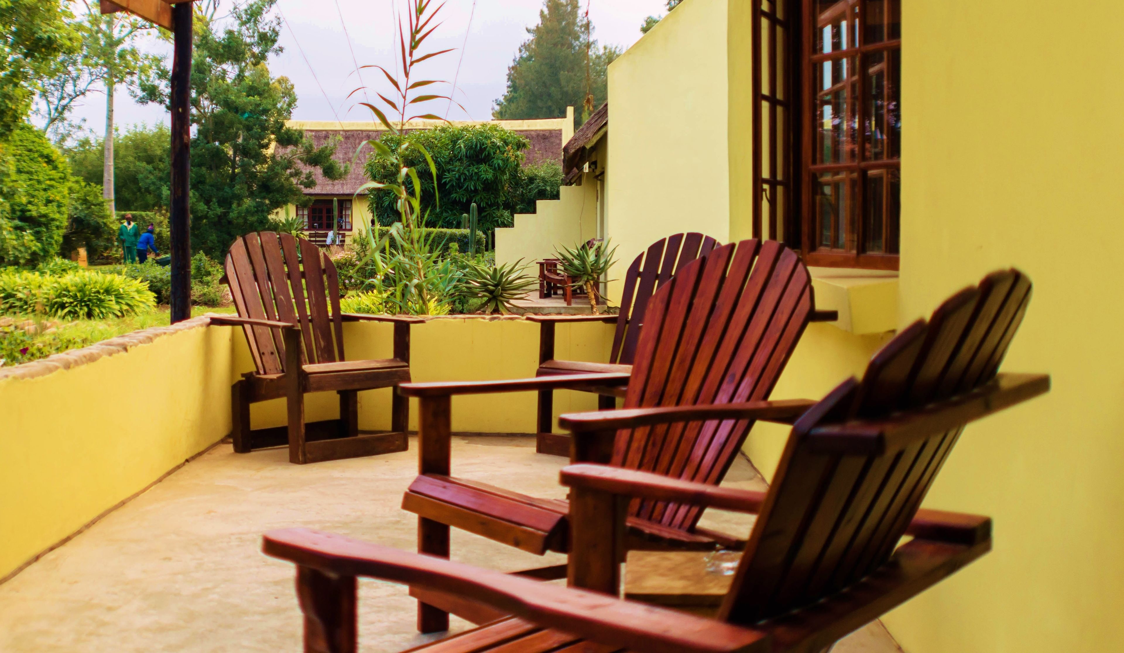 Un patio con sillas y mesa de madera, rodeado de paredes amarillas y follaje.