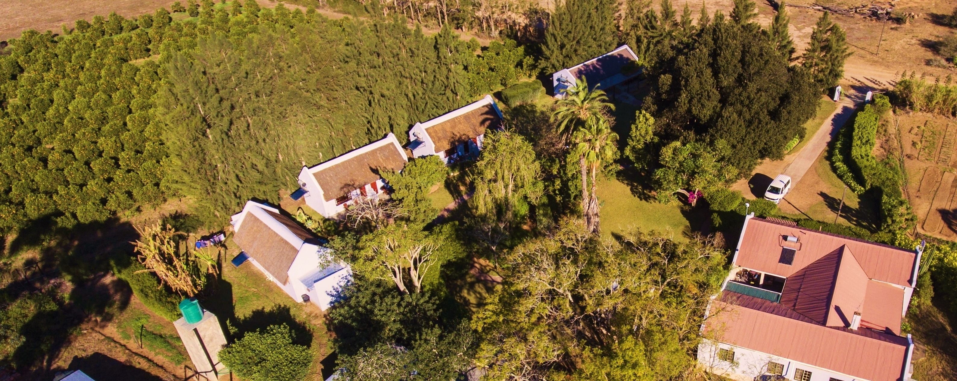 An aerial view of a residential area with multiple houses surrounded by dense greenery and trees.