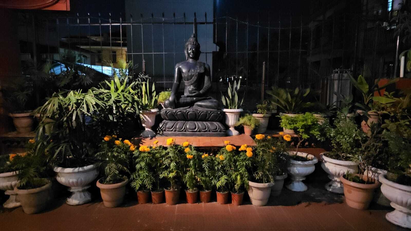 A Buddha statue surrounded by potted plants and marigolds.
