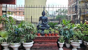Una estatua de Buda rodeada de plantas en macetas sobre un patio con baldosas.