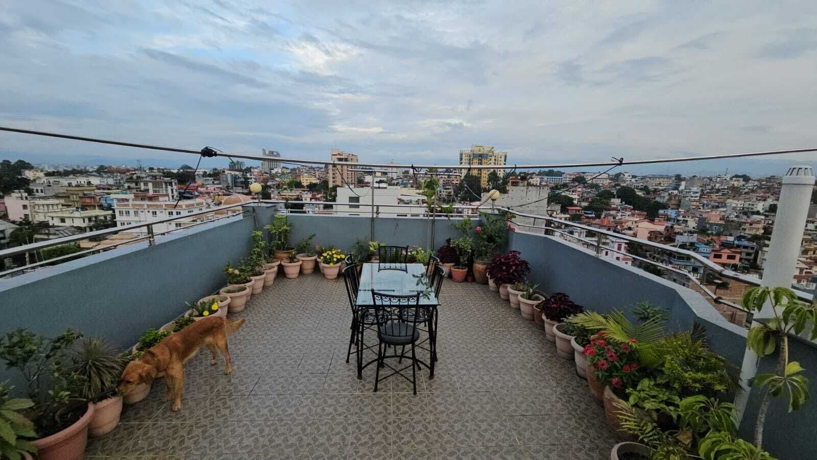 テラス / パティオ