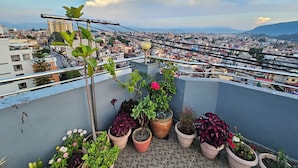 Una terraza en la azotea con plantas en macetas y vista a un paisaje urbano.
