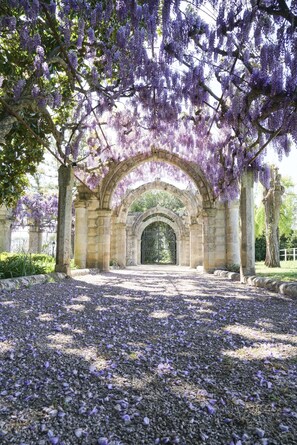 An arched stone structure with purple flowering trees overhead. - Masseria Appidé (Corigliano D'Otranto)