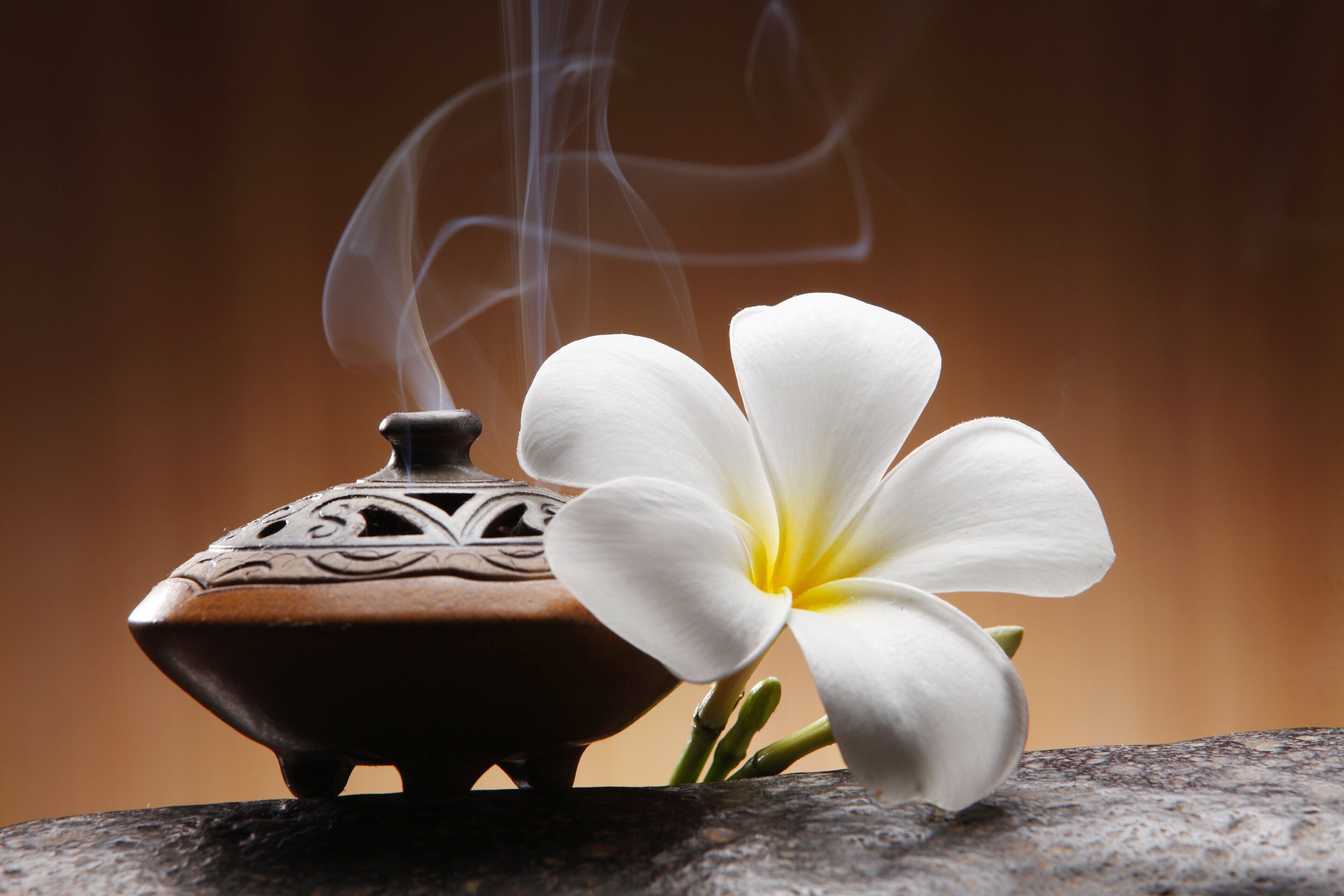 A white flower and a traditional incense burner on a stone surface.