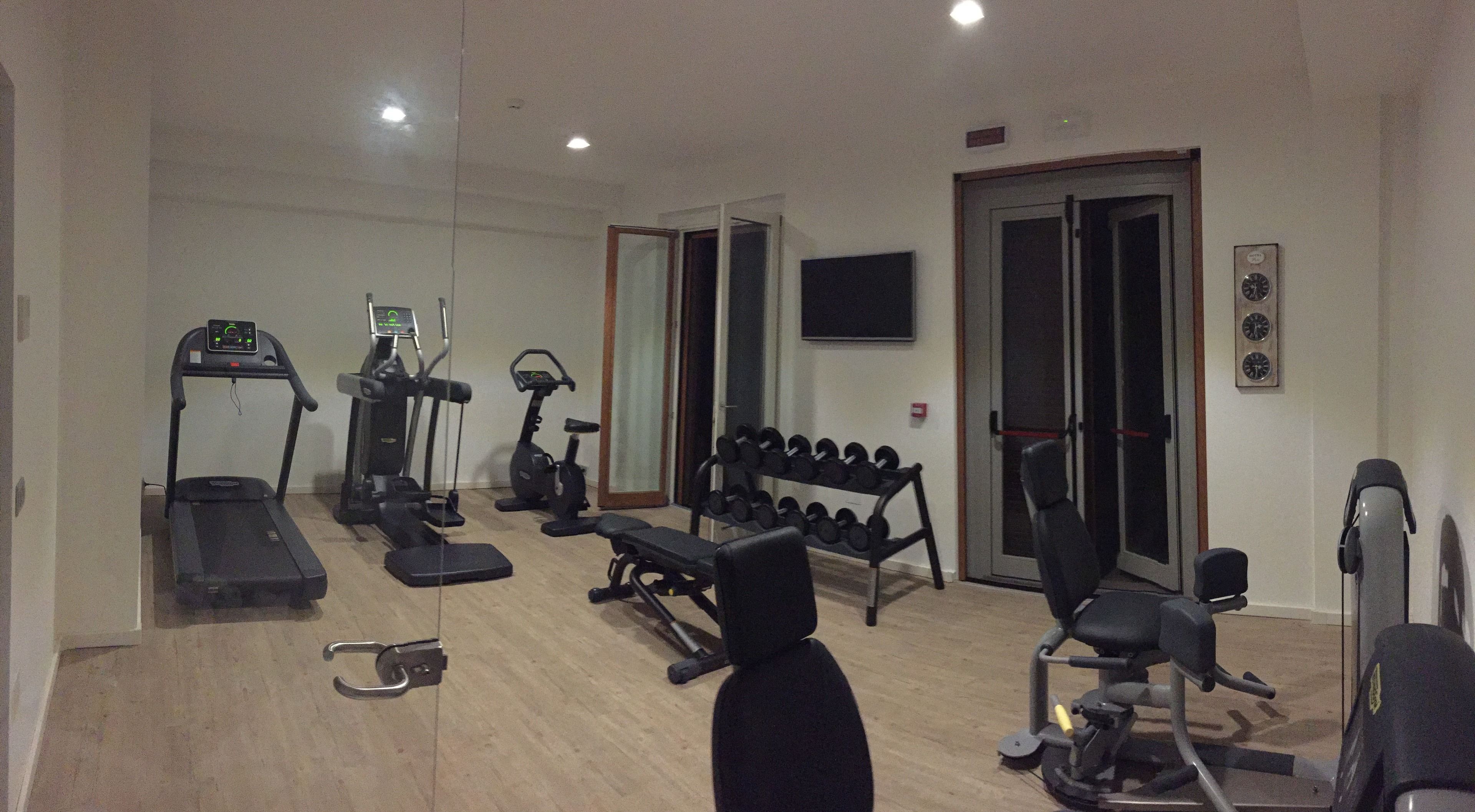 A gym with treadmills, elliptical machines, a bench press, and a squat rack.