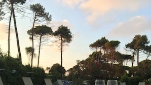 Zona de piscina con sillas de descanso y dos vasos de una bebida al borde.