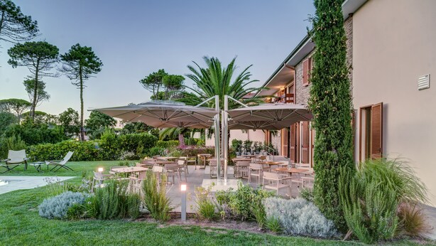 Un patio al aire libre con varias mesas y sillas, rodeado de abundante vegetación y una palmera.