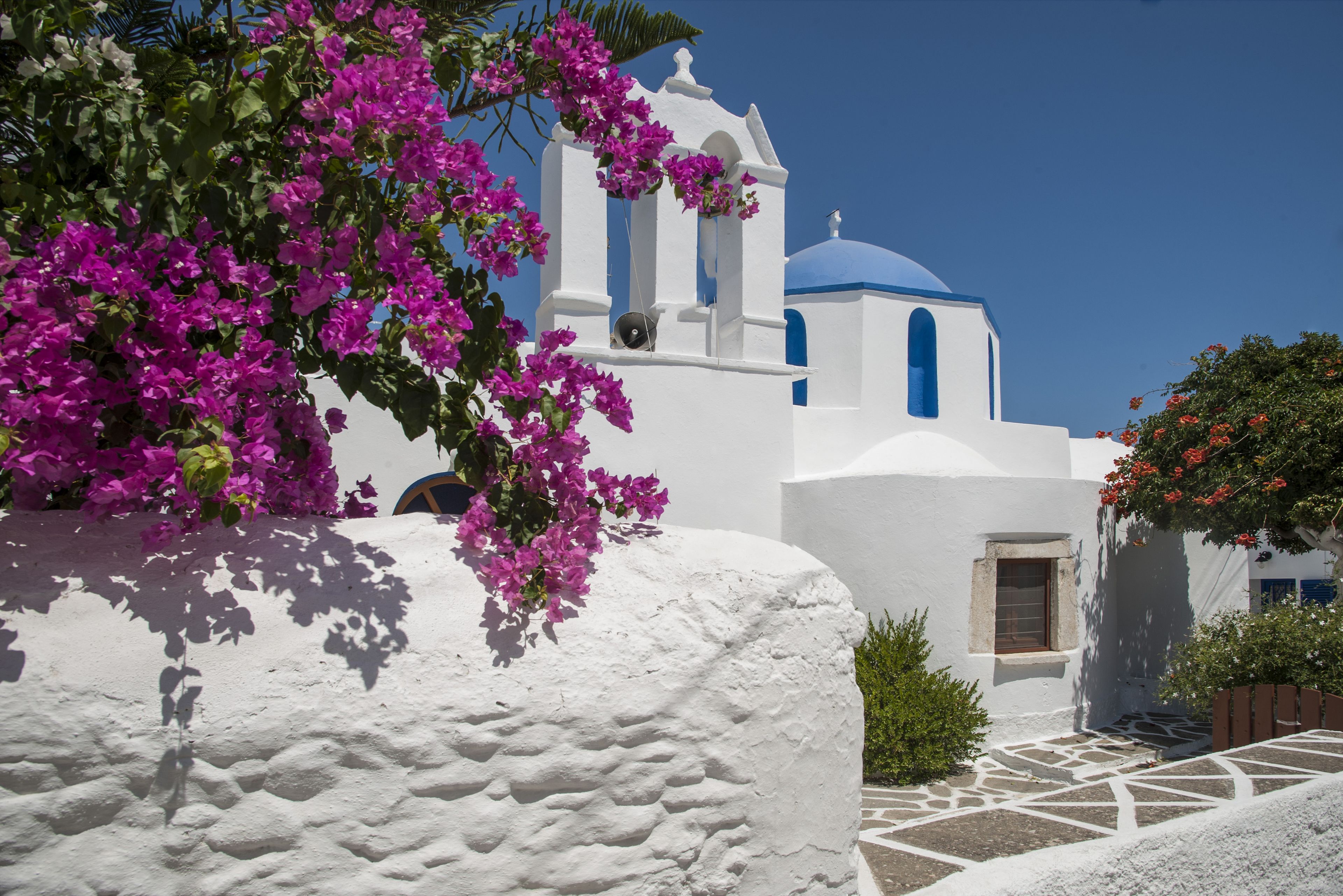 Foto - Senia Hotel