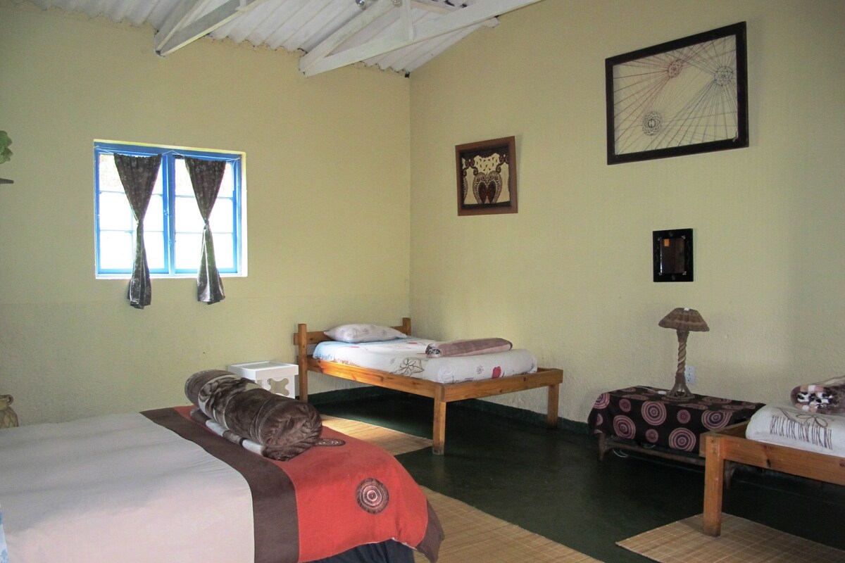 Basic-Vierbettzimmer, 1 Schlafzimmer
